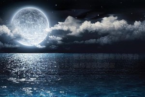 月亮下的故事（一个夜晚，一场奇妙的邂逅）